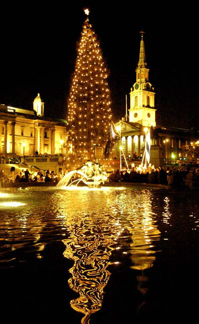 Trafalger Square christmas tree