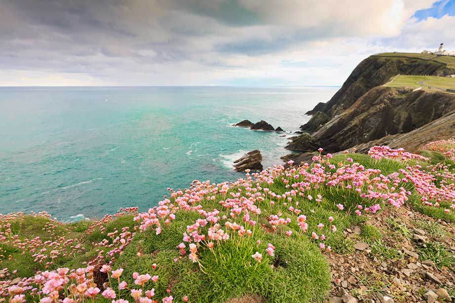 cliffs and ocean in scotland united kingdom