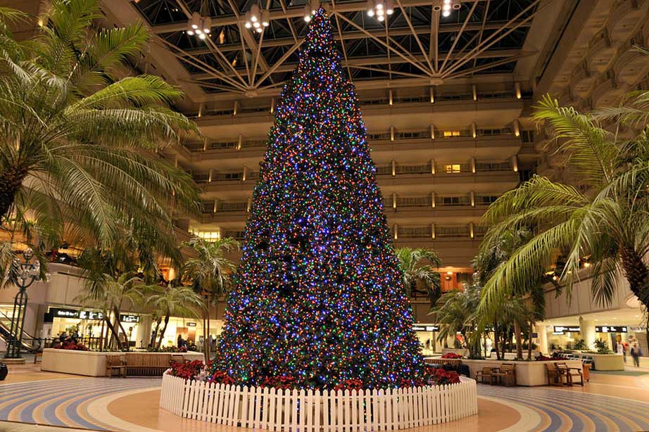 large tree with lights at Orlando Airport