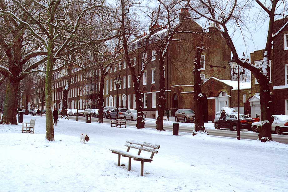 street and houses in london covered in snow