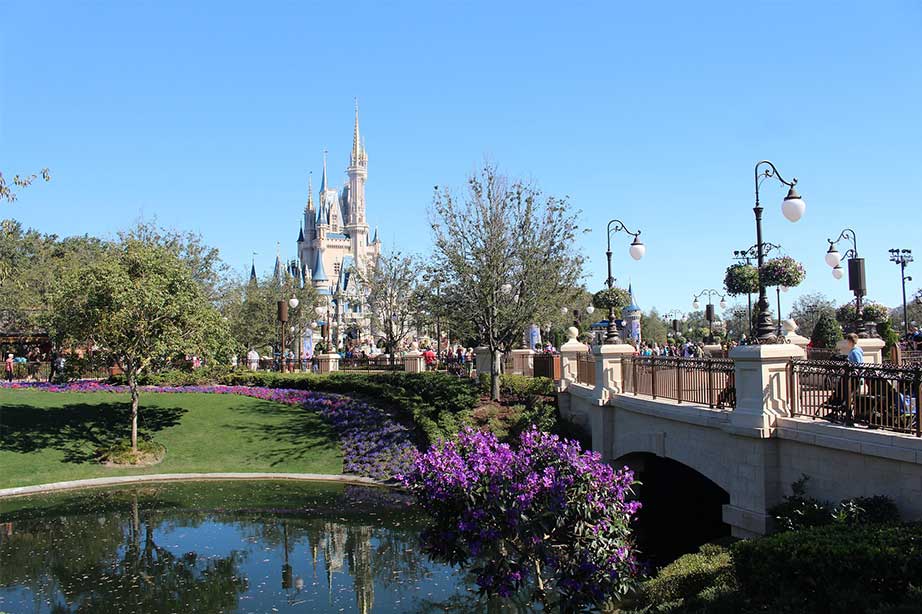 walt disney park with palace water and bridge