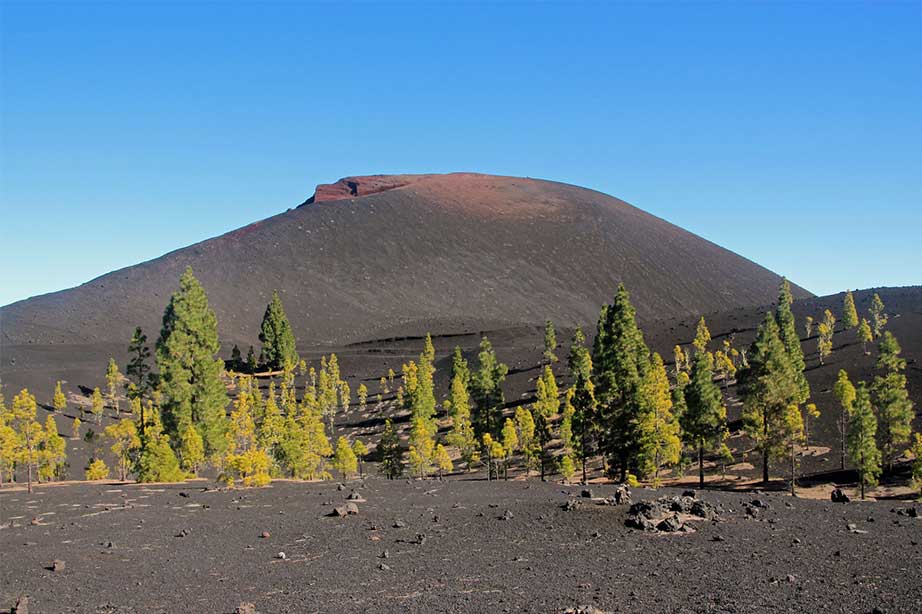 vulcanic landscape and forest by mountain