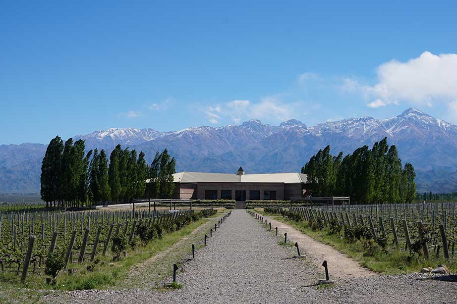 mendoza vineyard argentina bodega with andes mountain and blue sky