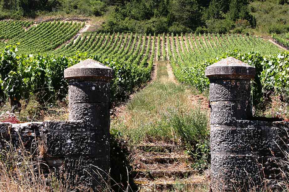 stone entrance to vineyard in burgundy