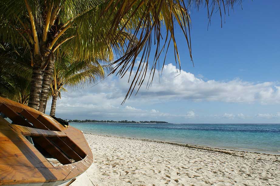 sandy beach with wooden boat and palmtree by a blue sky and sea