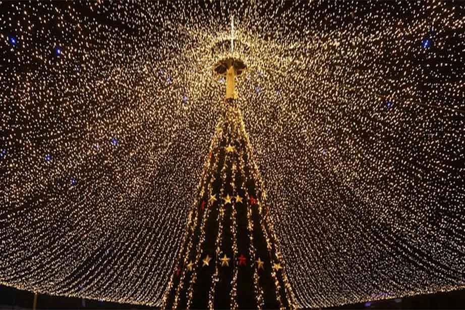 Lighted gigantic Christmas tree full of lights