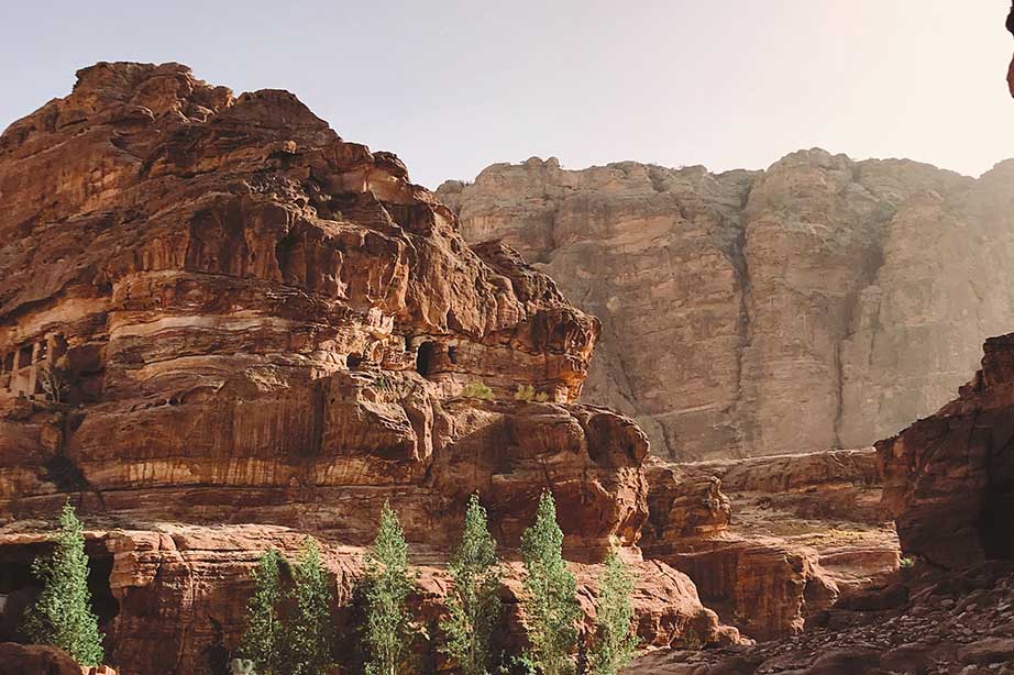 petra jordan rocks with green trees
