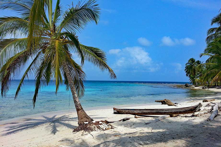 panama beach palmtree and blue sea by a clear sky.