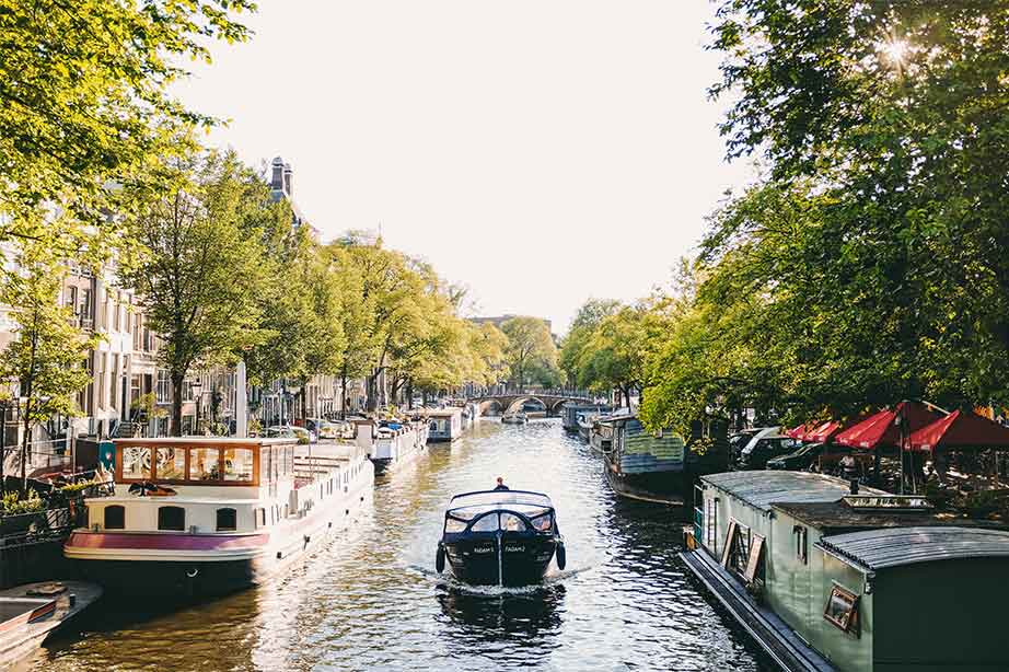 amsterdam boats on a canal surrounded by trees